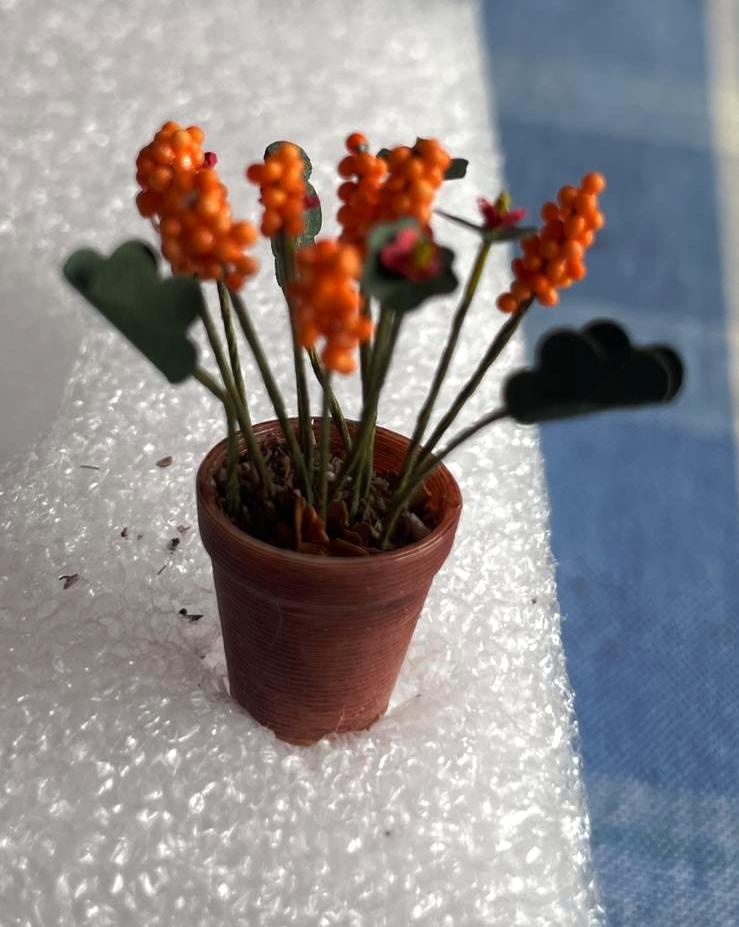 Miniture Arum Lillies, but don't let the children touch them . . .-by Chrissie